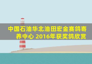 中国石油华北油田宏金赛鸽寄养中心 2016年获奖鸽欣赏